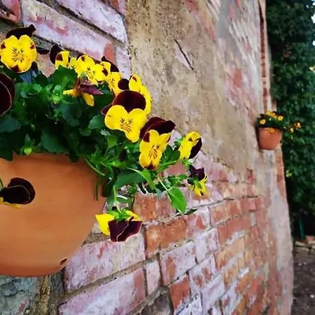 Da Simone Podere Santi Lucia E Pietro