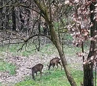 Da Simone Podere Santi Lucia E Pietro Hétvégi ház Siena
