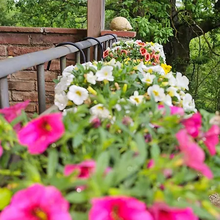 Da Simone Podere Santi Lucia E Pietro Сієна