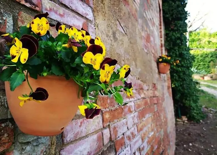 Da Simone Podere Santi Lucia E Pietro