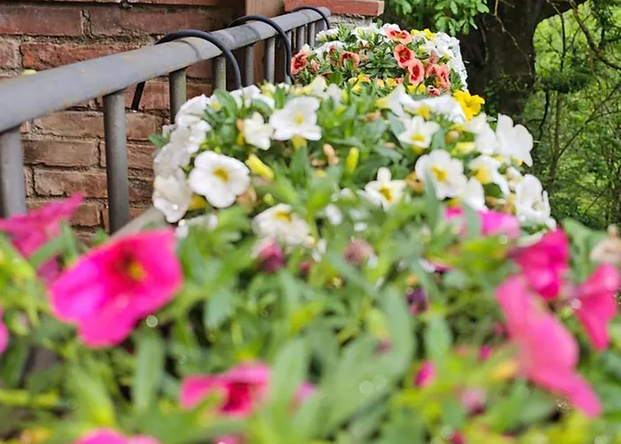 Da Simone Podere Santi Lucia E Pietro Сієна